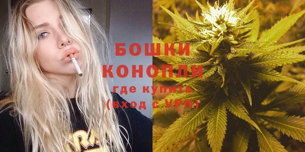 трава Армянск